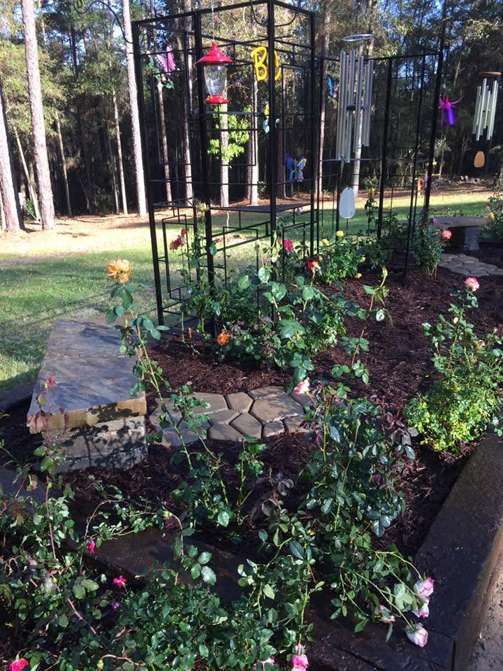Rose bed and arbor garden with stone edging, mulch, bird feeder, and chimes set against a pine grove