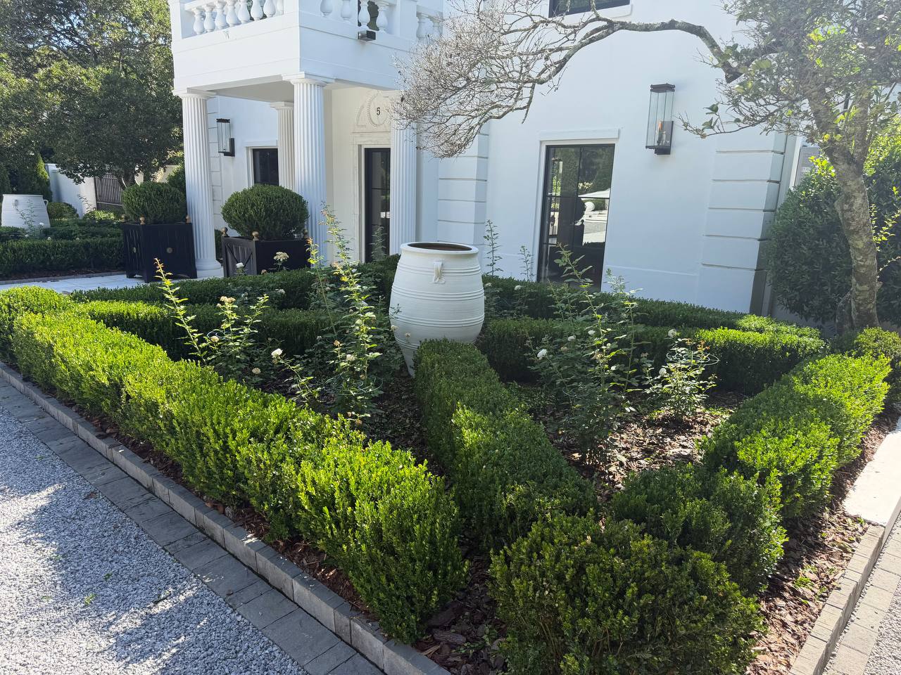 Symmetrical front bed with shaped boxwood and white urn centerpiece
